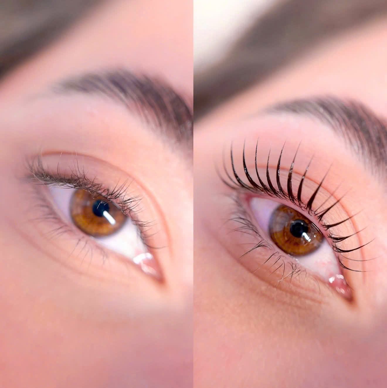 Lash Lift + Tint